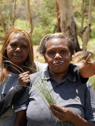 native-lemongrass-plant